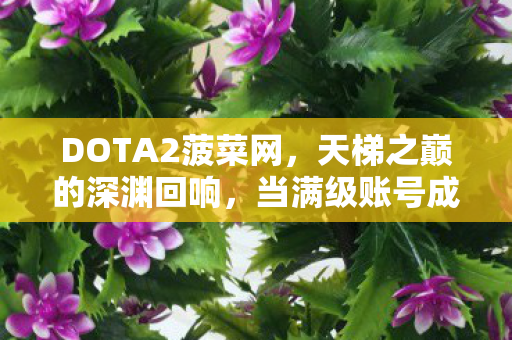 DOTA2菠菜网,天梯之巅的深渊回响,当满级账号成为现实废墟的墓志铭 DOTA2菠菜网,天梯之巅的深渊回响,当满级账号成为现实废墟的墓志铭