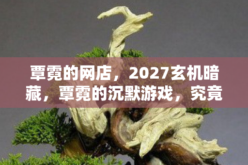 覃霓的网店，2027玄机暗藏，覃霓的沉默游戏，究竟埋了多少人生伏笔？
