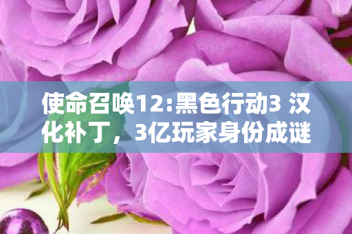 使命召唤12:黑色行动3 汉化补丁，3亿玩家身份成谜？黑色行动3里藏着多少心酸故事