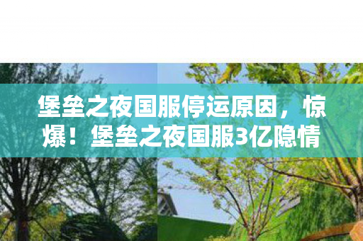 堡垒之夜国服停运原因，惊爆！堡垒之夜国服3亿隐情曝光，离职老兵吓一跳，这烂摊子早该掀！