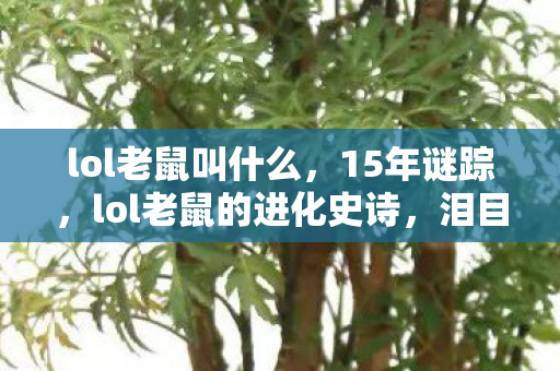 lol老鼠叫什么，15年谜踪，lol老鼠的进化史诗，泪目见证传奇诞生