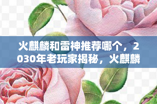 火麒麟和雷神推荐哪个,2030年老玩家揭秘,火麒麟与雷神十年对决,谁才是终极答案? 火麒麟和雷神推荐哪个,2030年老玩家揭秘,火麒麟与雷神十年对决,谁才是终极答案?