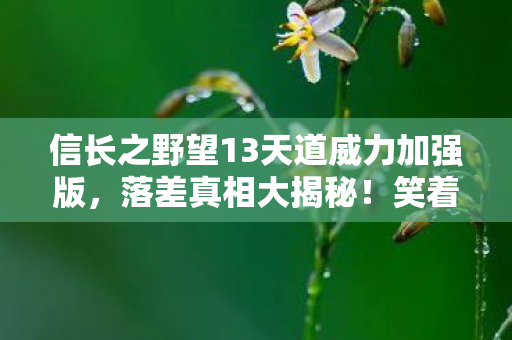 信长之野望13天道威力加强版，落差真相大揭秘！笑着骂完信长之野望13天道，笑着笑着哭了