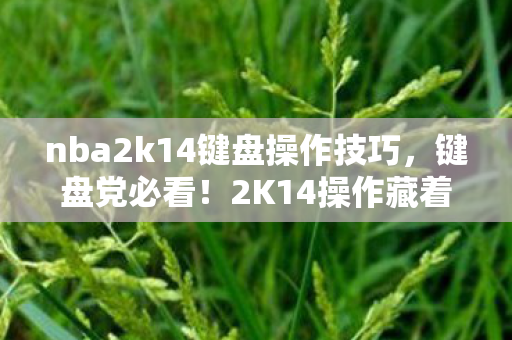 nba2k14键盘操作技巧,键盘党必看!2K14操作藏着10大猫腻,这破手感让人越玩越上头 nba2k14键盘操作技巧,键盘党必看!2K14操作藏着10大猫腻,这破手感让人越玩越上头