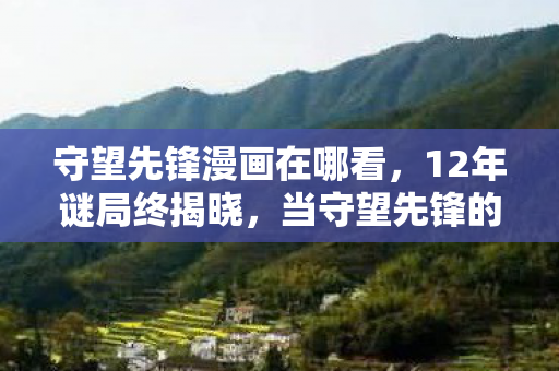 守望先锋漫画在哪看，12年谜局终揭晓，当守望先锋的枪火熄灭，为何千万玩家泪目？