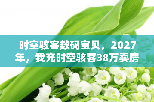 时空骇客数码宝贝，2027年，我充时空骇客38万卖房款，离婚协议撕开血色真相！
