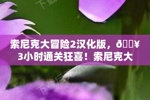 索尼克大冒险2汉化版，🔥3小时通关狂喜！索尼克大冒险2，速度与激情的终极碰撞！