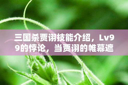 三国杀贾诩技能介绍，Lv99的悖论，当贾诩的帷幕遮蔽现实，我的人生早已溃不成军