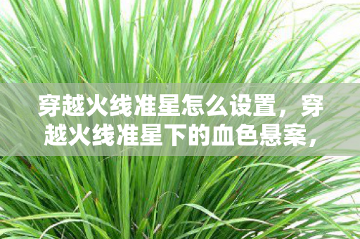 穿越火线准星怎么设置,穿越火线准星下的血色悬案,当杀戮成为毛骨悚然的自白书 穿越火线准星怎么设置,穿越火线准星下的血色悬案,当杀戮成为毛骨悚然的自白书