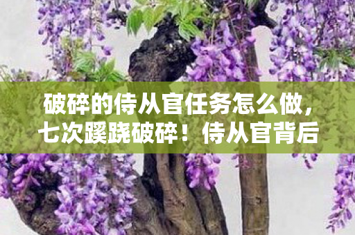 破碎的侍从官任务怎么做，七次蹊跷破碎！侍从官背后真相，让人后背发凉！