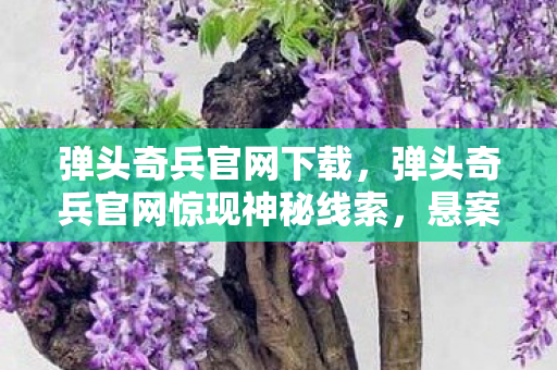 弹头奇兵官网下载,弹头奇兵官网惊现神秘线索,悬案背后竟藏着毛骨悚然的真相! 弹头奇兵官网下载,弹头奇兵官网惊现神秘线索,悬案背后竟藏着毛骨悚然的真相!
