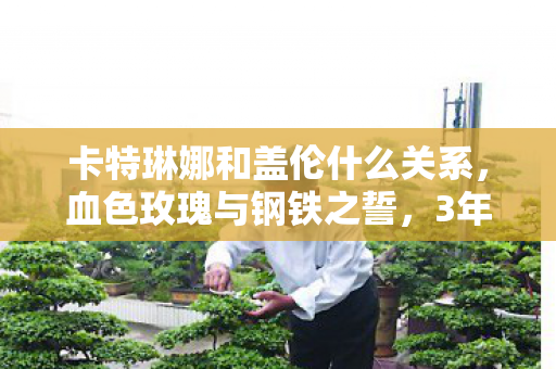 卡特琳娜和盖伦什么关系，血色玫瑰与钢铁之誓，3年1782场对局后，他们终于在2027年峡谷拆穿了命运的谎言