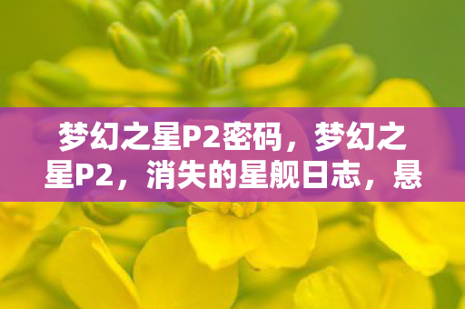 梦幻之星P2密码，梦幻之星P2，消失的星舰日志，悬案背后毛骨悚然的玩家自白