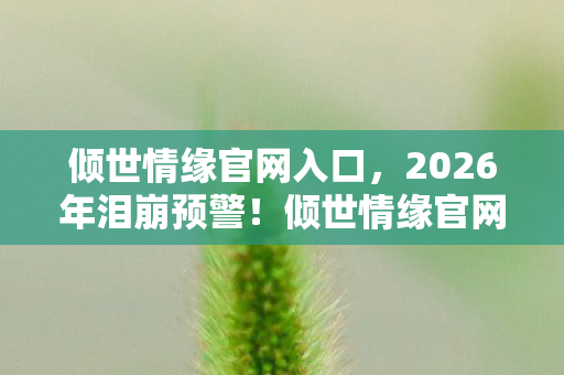 倾世情缘官网入口，2026年泪崩预警！倾世情缘官网惊现神秘彩蛋，真爱能否跨越时空？