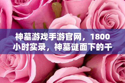 神墓游戏手游官网，1800小时实录，神墓谜面下的千年轮回，玩家泪目见证终局真相