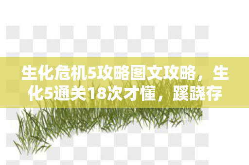 生化危机5攻略图文攻略，生化5通关18次才懂，蹊跷存档点背后，是策划让我后背发凉的阴谋
