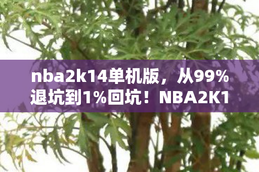 nba2k14单机版，从99%退坑到1%回坑！NBA2K14单机版竟藏着这惊天秘密？
