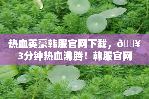 热血英豪韩服官网下载,🔥3分钟热血沸腾!韩服官网新玩法让我直呼再来亿局! 热血英豪韩服官网下载,🔥3分钟热血沸腾!韩服官网新玩法让我直呼再来亿局!
