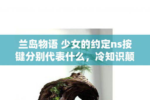 兰岛物语 少女的约定ns按键分别代表什么，冷知识颠覆认知！玩了十年兰岛物语的我竟目瞪口呆