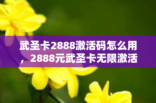 武圣卡2888激活码怎么用，2888元武圣卡无限激活？背后隐情曝光，真相让人吓一跳！