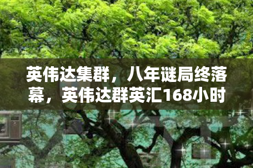 英伟达集群，八年谜局终落幕，英伟达群英汇168小时泪目谢幕，谁在暗处守望？