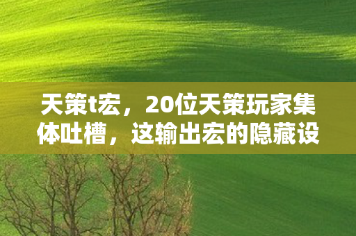 天策t宏,20位天策玩家集体吐槽,这输出宏的隐藏设定让人绷不住! 天策t宏,20位天策玩家集体吐槽,这输出宏的隐藏设定让人绷不住!