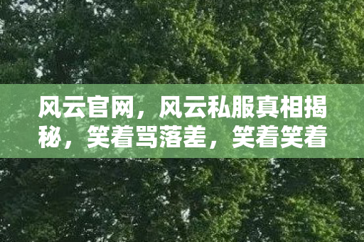 风云官网，风云私服真相揭秘，笑着骂落差，笑着笑着，泪湿了眼眶