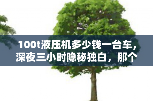 100t液压机多少钱一台车，深夜三小时隐秘独白，那个问100t液压机价格的少年，哽咽着长大了