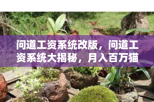 问道工资系统改版，问道工资系统大揭秘，月入百万猫腻多，这坑你踩过没？