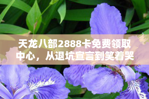 天龙八部2888卡免费领取中心,从退坑宣言到笑着哭,2888卡真相揭开,嘴硬玩家终成小丑 天龙八部2888卡免费领取中心,从退坑宣言到笑着哭,2888卡真相揭开,嘴硬玩家终成小丑