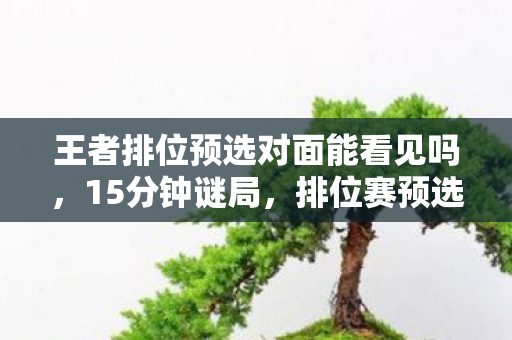 王者排位预选对面能看见吗,15分钟谜局,排位赛预选位模式下的泪目死亡时间线 王者排位预选对面能看见吗,15分钟谜局,排位赛预选位模式下的泪目死亡时间线