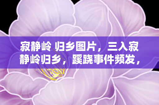 寂静岭 归乡图片，三入寂静岭归乡，蹊跷事件频发，真相背后让人后背发凉！