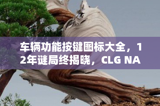 车辆功能按键图标大全，12年谜局终揭晓，CLG NA的电竞史诗为何让全球泪目？