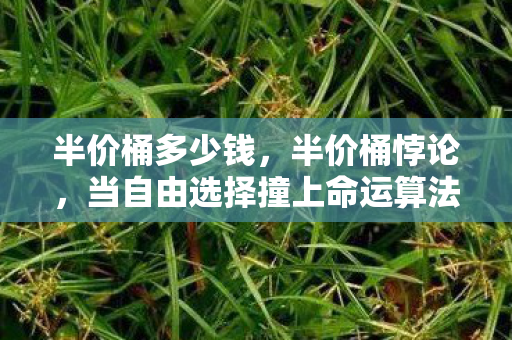 半价桶多少钱，半价桶悖论，当自由选择撞上命运算法，你的灵魂在第几层颤抖？