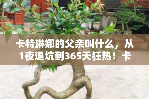 卡特琳娜的父亲叫什么，从1夜退坑到365天狂热！卡特琳娜父亲的十年轮回，真相让人窒息！