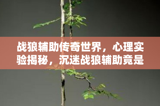 战狼辅助传奇世界，心理实验揭秘，沉迷战狼辅助竟是多巴胺陷阱？细思极恐！