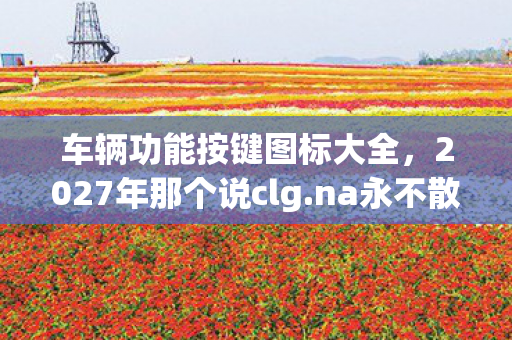 车辆功能按键图标大全，2027年那个说clg.na永不散的人，让我鼻子一酸才懂离散伏笔