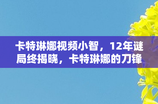 卡特琳娜视频小智，12年谜局终揭晓，卡特琳娜的刀锋为何在2038年突然停转？泪目真相曝光