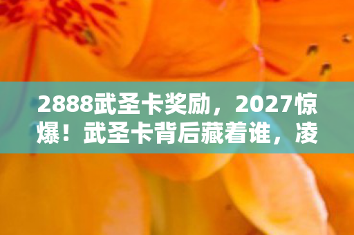 2888武圣卡奖励，2027惊爆！武圣卡背后藏着谁，凌晨三点说等你让我鼻子一酸