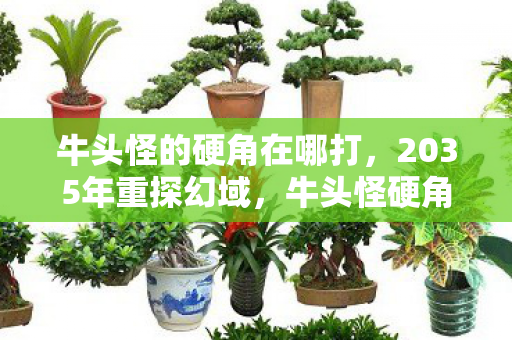 牛头怪的硬角在哪打，2035年重探幻域，牛头怪硬角之谜，颠覆认知的终极震撼！