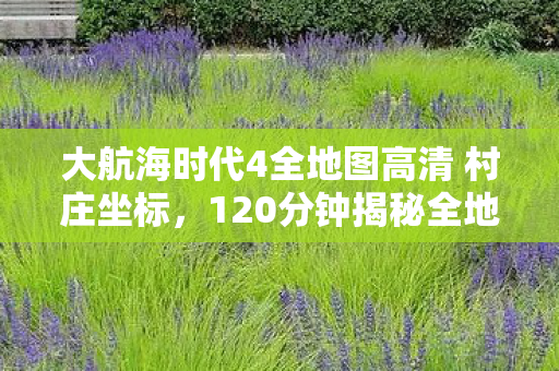 大航海时代4全地图高清 村庄坐标，120分钟揭秘全地图隐秘角落里，藏着哽咽的青春回响