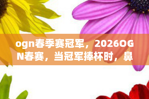 ogn春季赛冠军，2026OGN春赛，当冠军捧杯时，鼻子一酸想起替我扛BOSS的你