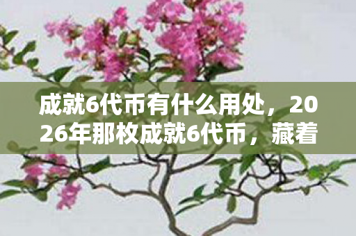 成就6代币有什么用处，2026年那枚成就6代币，藏着未说出口的约定，如今想起鼻子一酸