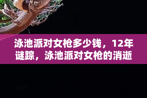 泳池派对女枪多少钱,12年谜踪,泳池派对女枪的消逝与重生,泪目真相终揭晓 泳池派对女枪多少钱,12年谜踪,泳池派对女枪的消逝与重生,泪目真相终揭晓