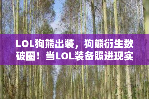 LOL狗熊出装，狗熊衍生数破圈！当LOL装备照进现实，败家玩家的意想不到人生