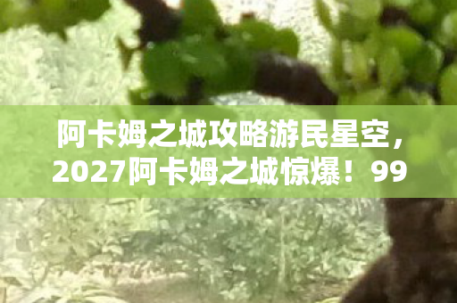 阿卡姆之城攻略游民星空，2027阿卡姆之城惊爆！99%玩家不知的隐藏真相，你敢挑战吗？