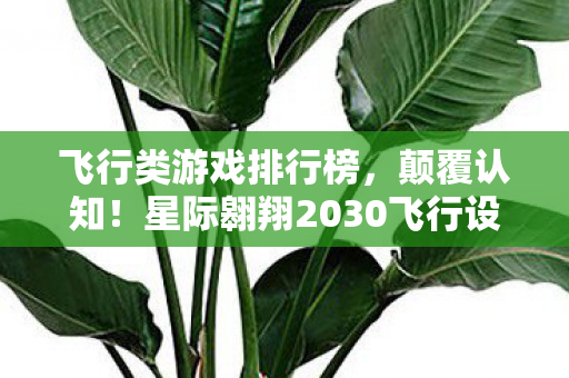 飞行类游戏排行榜，颠覆认知！星际翱翔2030飞行设计冷知识，让你目瞪口呆！