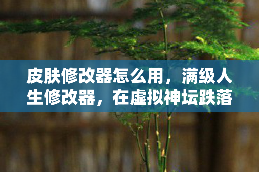 皮肤修改器怎么用，满级人生修改器，在虚拟神坛跌落现实深渊的灵魂震颤