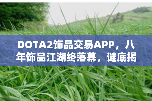 DOTA2饰品交易APP,八年饰品江湖终落幕,谜底揭晓时泪目,谁还记得最初的至宝? DOTA2饰品交易APP,八年饰品江湖终落幕,谜底揭晓时泪目,谁还记得最初的至宝?