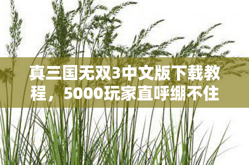 真三国无双3中文版下载教程，5000玩家直呼绷不住！真三国无双3中文版下载竟藏着这些猫腻？